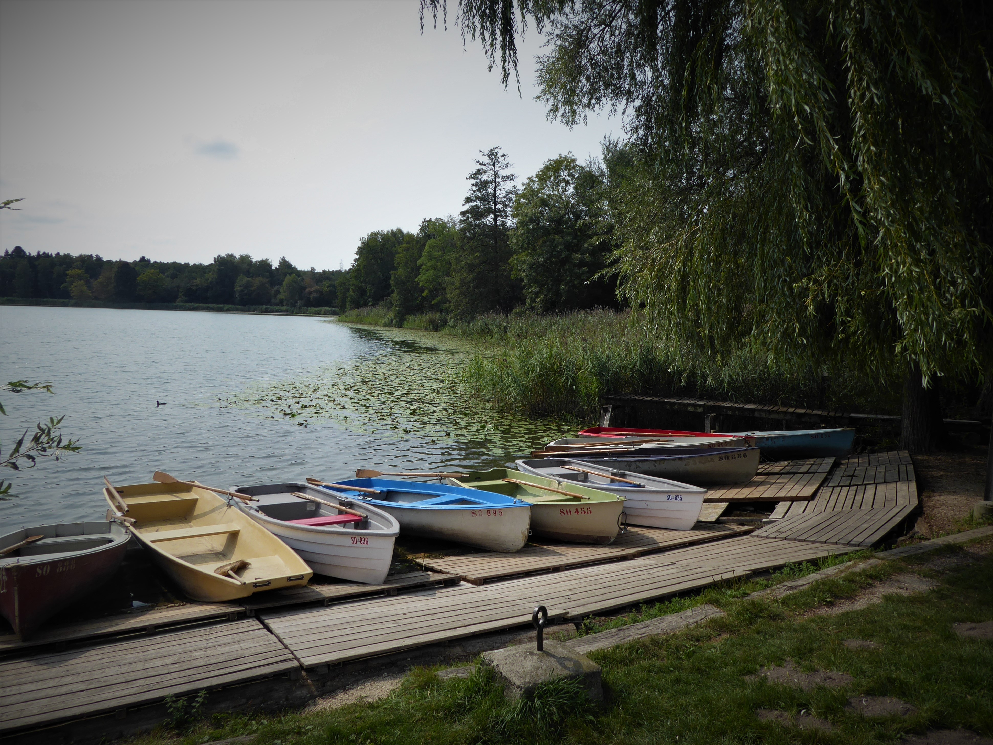 bootfahren solothurn