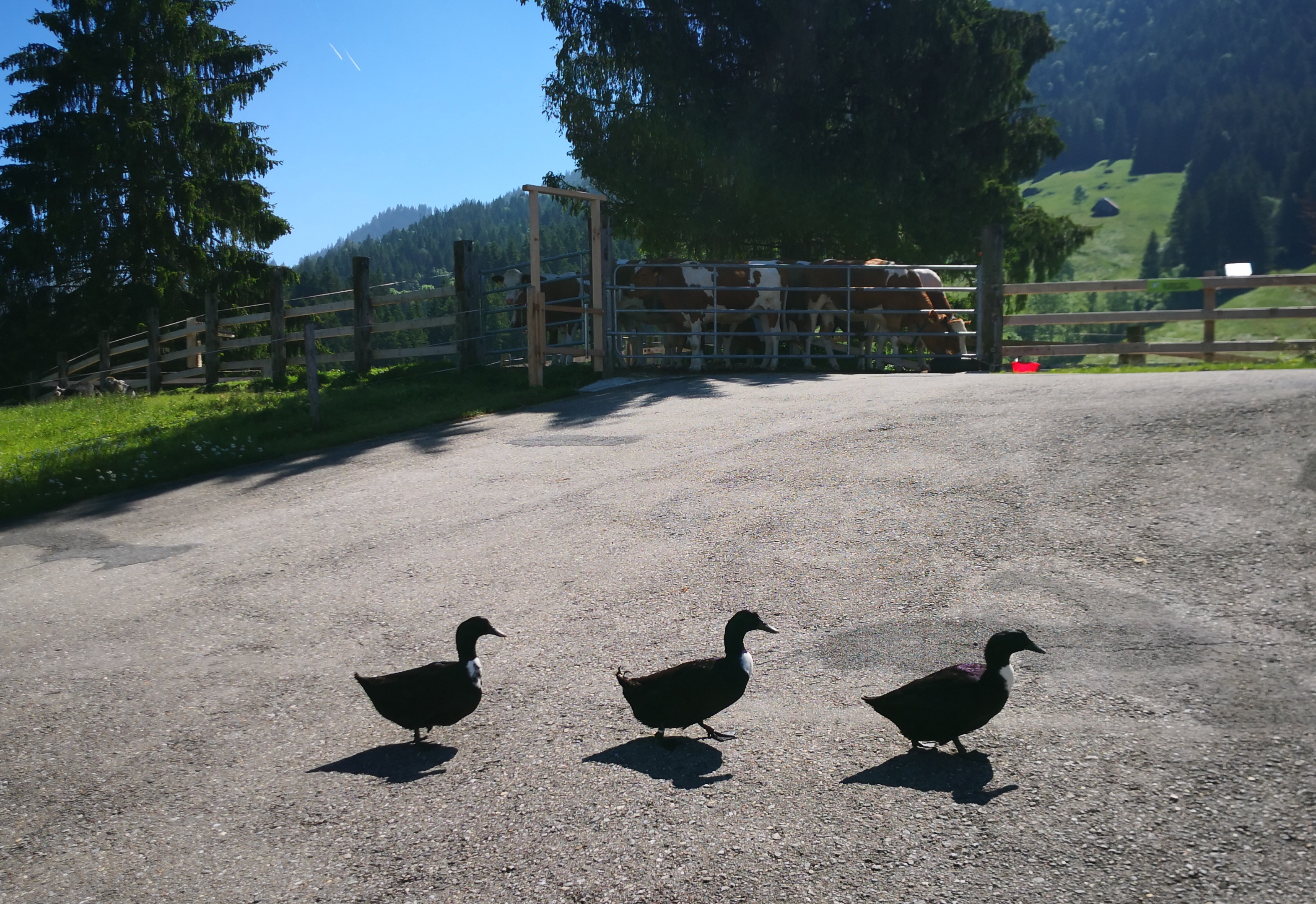 Tourismus Schwarzbubenland