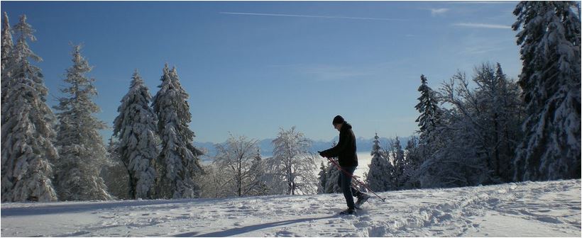 freie skifotos schweiz